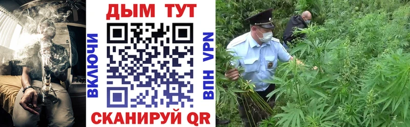 blacksprut ТОР  где можно купить наркотик  Суздаль  Канабис конопля 